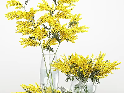 Decorative Ornament Set With Yellow Mimosa Flowers In Clear Glass Vases For Home Decor 3d model