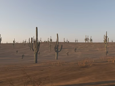 Desert Plants 3d model