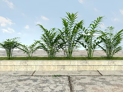 Green Herbaceous Plants in Stone Planter Along Paved Path Under Blue Sky with White Clouds 3d model