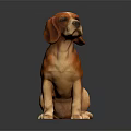 Sitting Beagle Dog Sculpture With Tricolor Coat Floppy Ears On Dark Surface With Reflection