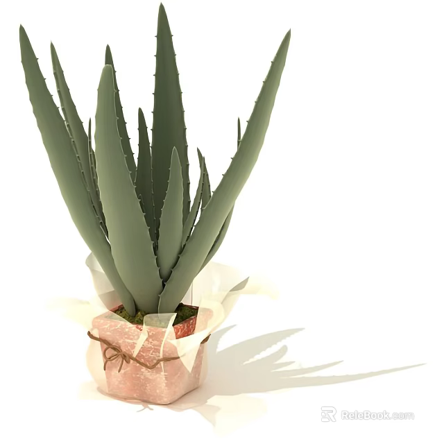 Potted Aloe Vera Plant With Green Long Leaves In Brown Paper Wrapping Tied With Twine 3d model 