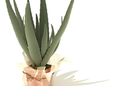 Potted Aloe Vera Plant With Green Long Leaves In Brown Paper Wrapping Tied With Twine 3d model