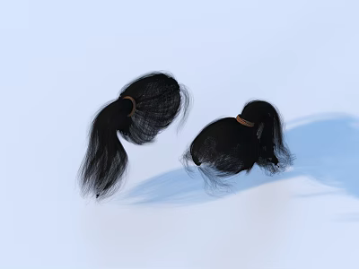 Natural Looking Black Wig Ponytails With Brown Elastic Bands For Daily Life 3d model