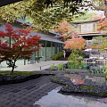 Tranquil Courtyard Garden With Red Maple Trees Water Pond Stone Decorations Glass Walls And Reflections