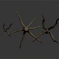 Dry Plant Branches With Various Heights And Shapes On White Background