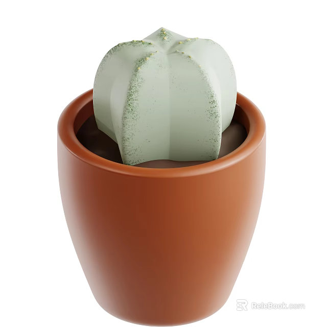 Green Textured Cactus Growing In Brown Ceramic Planter For Indoor Decor 3d model 