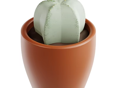 Green Textured Cactus Growing In Brown Ceramic Planter For Indoor Decor 3d model