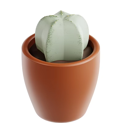 Green Textured Cactus Growing In Brown Ceramic Planter For Indoor Decor 3d model