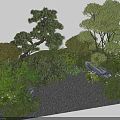 Lush Garden Landscape Design With Trees Shrubs Rocks Grass And Gravel