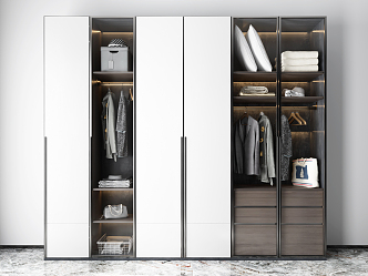 Modern wardrobe combination 3d model