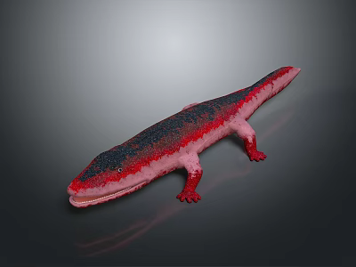 Detailed 3D Model of Red and Black Salamander Featuring Open Mouth and Lizard-like Body 3d model
