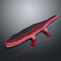 Detailed 3D Model of Red and Black Salamander Featuring Open Mouth and Lizard-like Body
