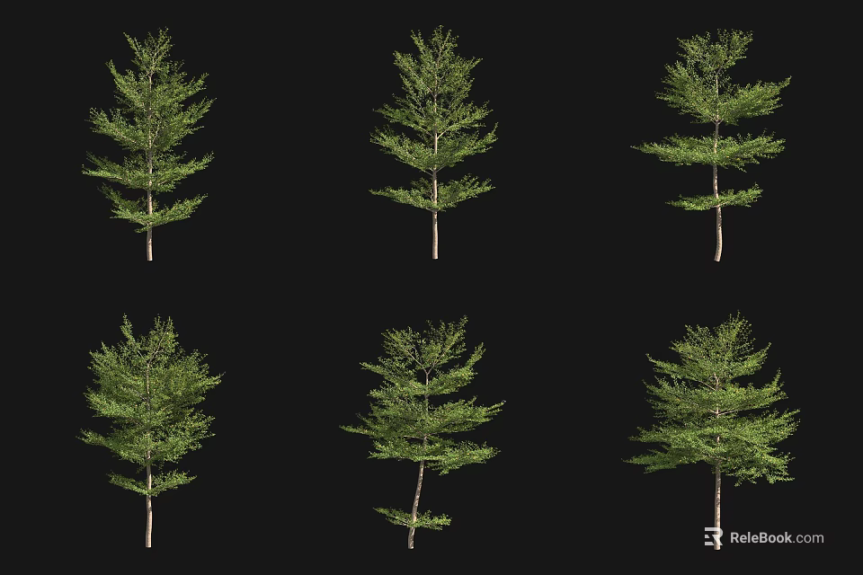 Various Arbor Tree Varieties with Green Foliage Isolated on Black Background 3d model