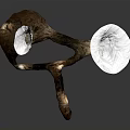 Fresh Organic Root Vegetable With White Flesh And Brown Skin On Dark Background