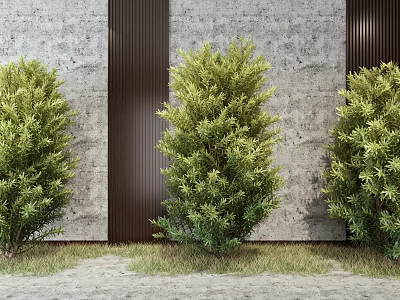Modern Tree Yew Tree Combination 3d model