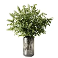 Multiple Glass Vases with Various Green Plants and Lush Foliage for Interior Decoration