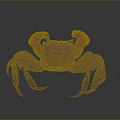 Red Clawed Aquatic Crab With Brown Shell And Extended Legs Front View