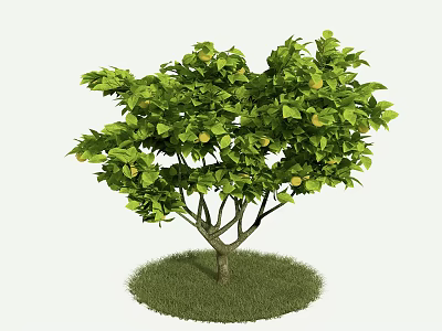 Lush Green Tree With Dense Foliage And Brown Trunk On Green Grass 3d model