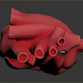 Red Anatomical Heart Model With Detailed Internal Structures On Dark Background