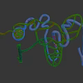Detailed Organ and Hair Structures in Colorful 3D Tubular Model Rendering
