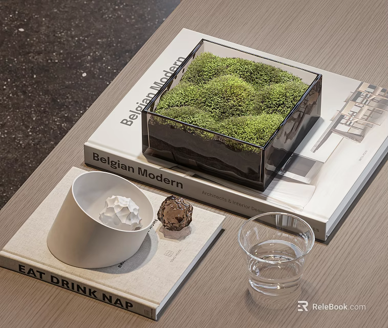 Decorative Ornament Set With Green Moss Transparent Box White Bowl Glass Cup On Books 3d model 