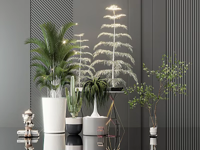 Various Bonsai Potted Plants In Modern Interior With White Black Pots And Metal Stands 3d model