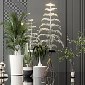 Various Bonsai Potted Plants In Modern Interior With White Black Pots And Metal Stands