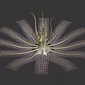 Symmetrical Green Plant With Radial Slender Leaves Central Stem And Glossy Texture On Dark Background