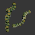 Spiral Molecular Structure Model With Green Yellow Spheres And White Connections On Dark Background