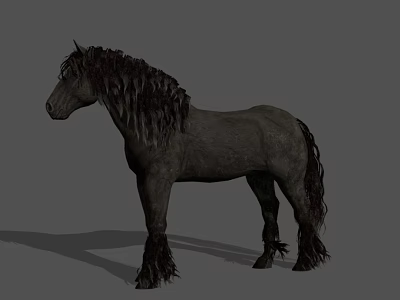 Black Horse With Long Mane And Tail Standing On Gray Background With Shadow 3d model