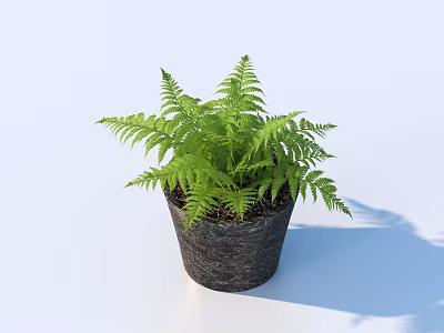 flowerpot potted plant green plant 3d model