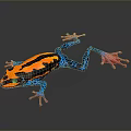 Vibrant Reptile With Orange Blue And Pink Patterned Body On Dark Background