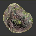 Vibrant Colorful Plant Structure With Hill Like Shape Purple Pink Base And Green Yellow Foliage