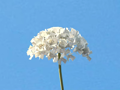 Beautiful White Hydrangea Flower With Single Stem Against Blue Sky Background 3d model