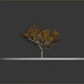 Tree With Orange Leaves And Gray Trunk On Circular Brown Ground And Gray Background