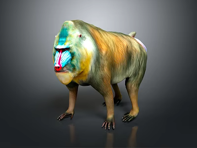 Colorful Mandrill with Blue and Red Facial Markings and Tawny Fur in 3D Rendered 3d model