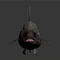 Aquatic Animal Fish With Red Fins Silver Body Reticulated Scales And Reflective Surface On Dark Background