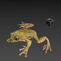 Green Frog With Stretched Legs And Colorful Rubik's Cube On Gray Background