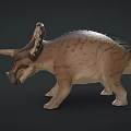 Realistic Triceratops 3D Model With Large Horns Decorative Frill And Textured Body