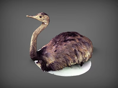 Flying Bird With Long Neck And Brown Feathers On White Base Against Gray Background 3d model