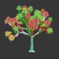 Joshua Tree With Green Spiky Leaves And Branched Rough Trunk Isolated On Dark Background
