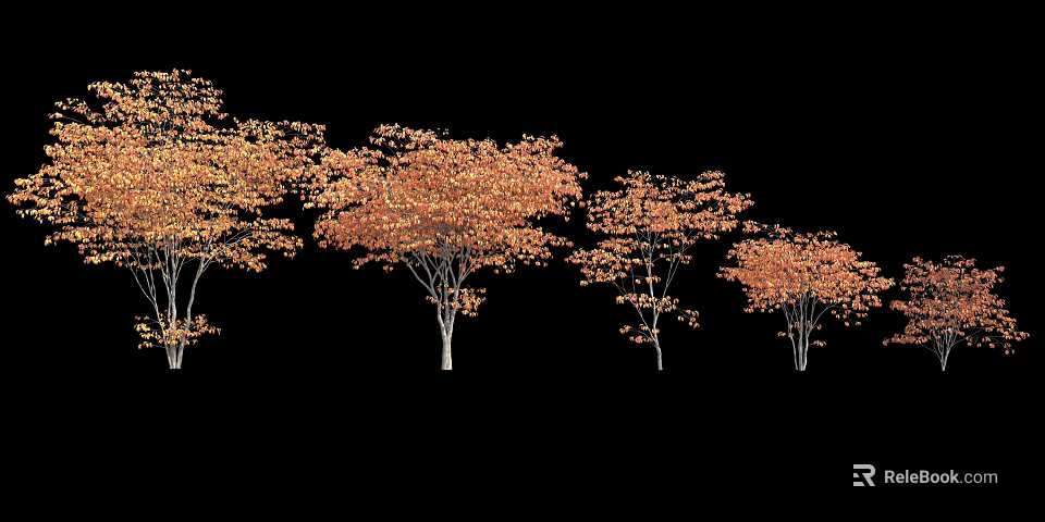 Multiple Arbor Trees With Orange Yellow Leaves And Slender Trunks On Black Background 3d model 