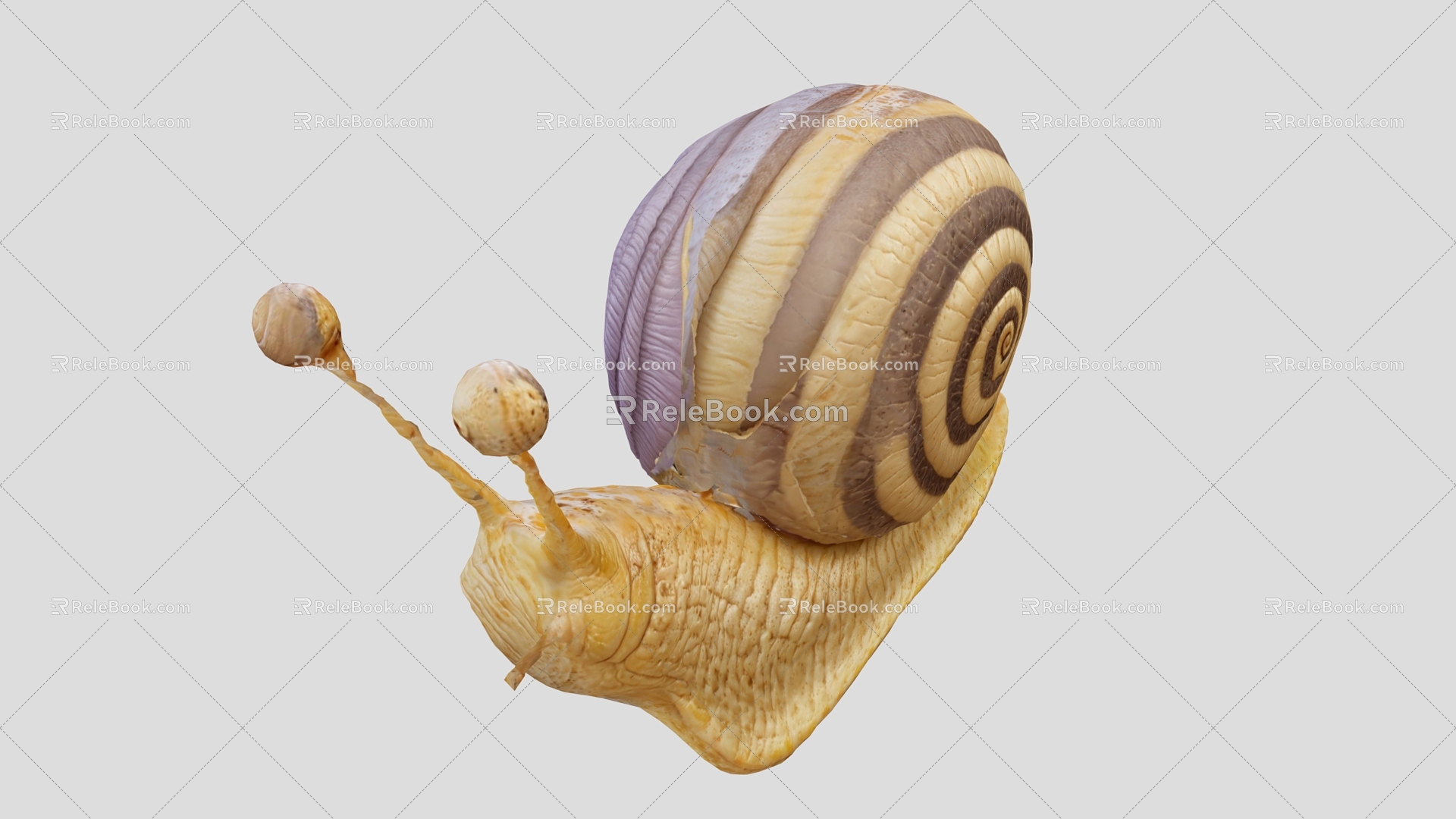 Snail Cartoon Snail Cartoon Animal 3d model