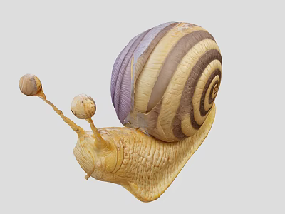 Reptile Snail With Yellow Body And Striped Purple Brown Shell And Long Antennae 3d model