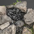 Natural Garden Ornament With Stone Circle Charcoal Center And Green Grass