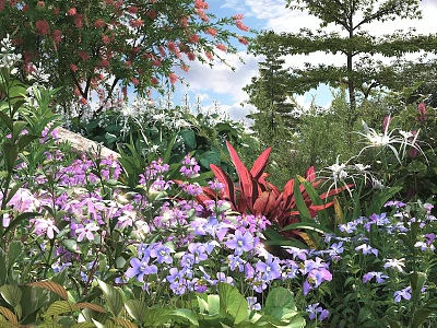 Colorful Flowering Shrubs In Garden Landscape With Purple Blooms Red Foliage And Green Leaves 3d model