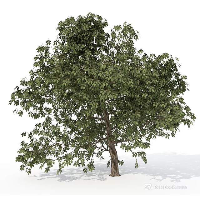 Vibrant Arbor with Dense Green Leaves and Sturdy Trunk in Outdoor Scene 3d model 