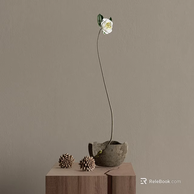 White Flower In Ceramic Vase With Pinecones On Tabletop Against Gray Wall 3d model
