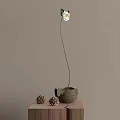 White Flower In Ceramic Vase With Pinecones On Tabletop Against Gray Wall 3d model