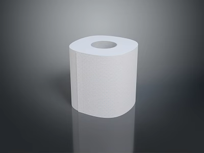 Ultra Soft Premium White Toilet Paper Roll for Home Bathroom Essentials 3d model